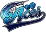 奈克王牌 Logo
