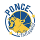 巴利亚多利德女篮 Logo