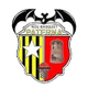 NB帕特纳女篮 Logo