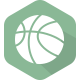 阿维莱斯女篮 Logo