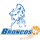 休姆城野马女篮 Logo