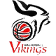 维京 Logo