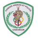 FAP雅恩德 Logo