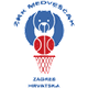 梅德威斯卡克女篮 Logo