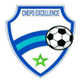 CNEPS卓越 Logo