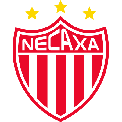 内卡萨 Logo