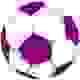 桑迪FC Logo