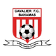 卡瓦立尔 Logo