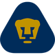 美洲狮 Logo