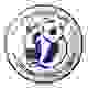 比斯特迪纳摩女足 Logo