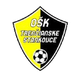 斯坦科维斯 Logo