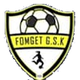 弗姆盖特金克里克女足 Logo