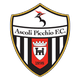 阿斯科利青年队 Logo