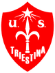 斯蒂纳U19 Logo