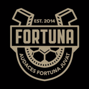 萨拜FC Logo