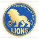 BCH狮子 Logo