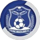 巴西人青年队 Logo