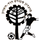 夏普尔霍德夏沙隆U19 Logo