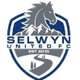 塞尔温联合 Logo