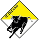 德干FC Logo