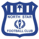 北极星 Logo