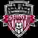 华盛顿精神女足 Logo