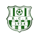 雷利扎内 Logo