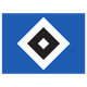 汉堡女足 Logo