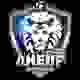 第聂伯女足 Logo