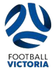 新兴体育会女足 Logo