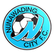 鲁纳沃丁城 Logo