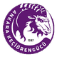 凯西奥伦古库U19 Logo