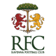 拉维纳 Logo