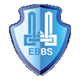 埃祖姆U19 Logo