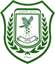 伊蒂哈德塞拉莱 Logo