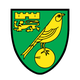 诺维奇 Logo