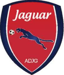 PE美洲虎U20 Logo