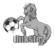 奥格斯道加瓦 Logo