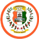 迪普马約FC Logo