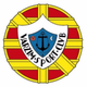 瓦尔津U19 Logo
