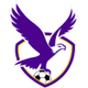 布伦达拉鹰 Logo
