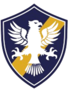 巴西复古 Logo