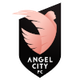 天使城女足 Logo