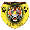猛虎 Logo