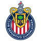 瓜达拉哈拉 Logo
