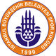 伊斯坦布尔BBU19 Logo