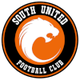 班加罗尔南方联 Logo