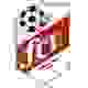 瓦亚科斯基 Logo