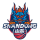 山东赤水河酒女篮 Logo