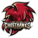 台南台钢猎鹰 Logo